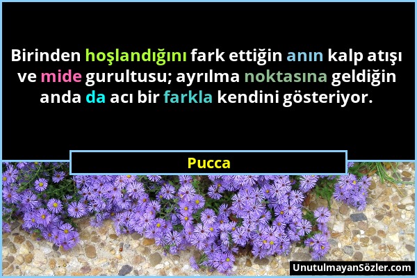 Pucca - Birinden hoşlandığını fark ettiğin anın kalp atışı ve mide gurultusu; ayrılma noktasına geldiğin anda da acı bir farkla kendini gösteriyor....