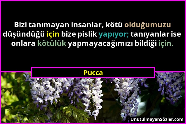 Pucca - Bizi tanımayan insanlar, kötü olduğumuzu düşündüğü için bize pislik yapıyor; tanıyanlar ise onlara kötülük yapmayacağımızı bildiği için....