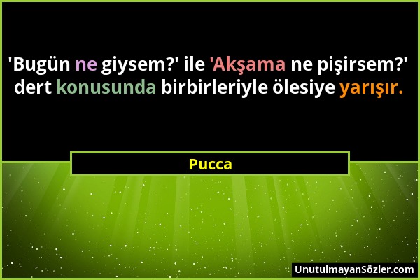 Pucca - 'Bugün ne giysem?' ile 'Akşama ne pişirsem?' dert konusunda birbirleriyle ölesiye yarışır....