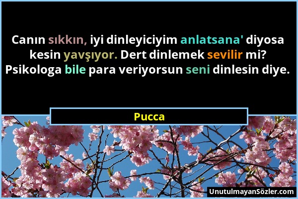 Pucca - Canın sıkkın, iyi dinleyiciyim anlatsana' diyosa kesin yavşıyor. Dert dinlemek sevilir mi? Psikologa bile para veriyorsun seni dinlesin diye....