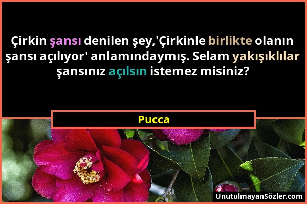 Pucca - Çirkin şansı denilen şey,'Çirkinle birlikte olanın şansı açılıyor' anlamındaymış. Selam yakışıklılar şansınız açılsın istemez misiniz?...