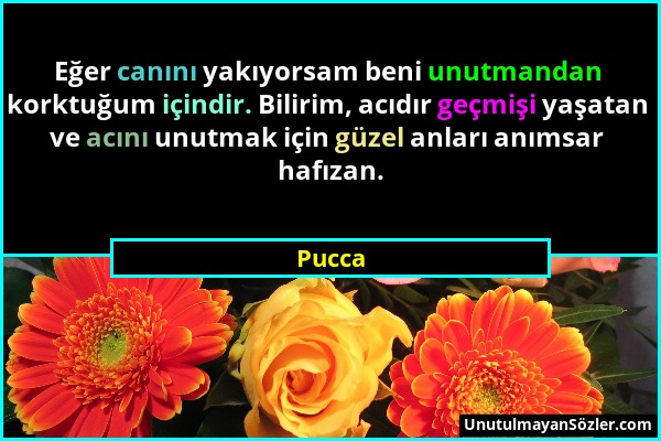 Pucca - Eğer canını yakıyorsam beni unutmandan korktuğum içindir. Bilirim, acıdır geçmişi yaşatan ve acını unutmak için güzel anları anımsar hafızan....