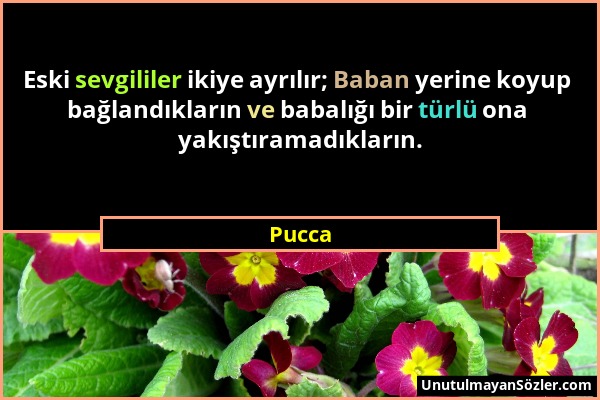 Pucca - Eski sevgililer ikiye ayrılır; Baban yerine koyup bağlandıkların ve babalığı bir türlü ona yakıştıramadıkların....