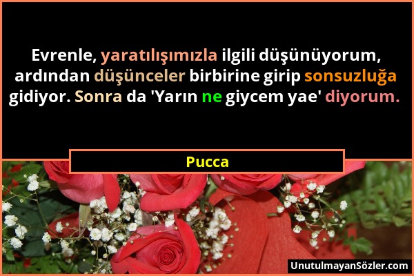 Pucca - Evrenle, yaratılışımızla ilgili düşünüyorum, ardından düşünceler birbirine girip sonsuzluğa gidiyor. Sonra da 'Yarın ne giycem yae' diyorum....