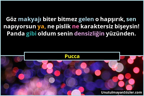 Pucca - Göz makyajı biter bitmez gelen o hapşırık, sen napıyorsun ya, ne pislik ne karaktersiz bişeysin! Panda gibi oldum senin densizliğin yüzünden....