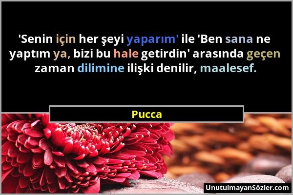 Pucca - 'Senin için her şeyi yaparım' ile 'Ben sana ne yaptım ya, bizi bu hale getirdin' arasında geçen zaman dilimine ilişki denilir, maalesef....