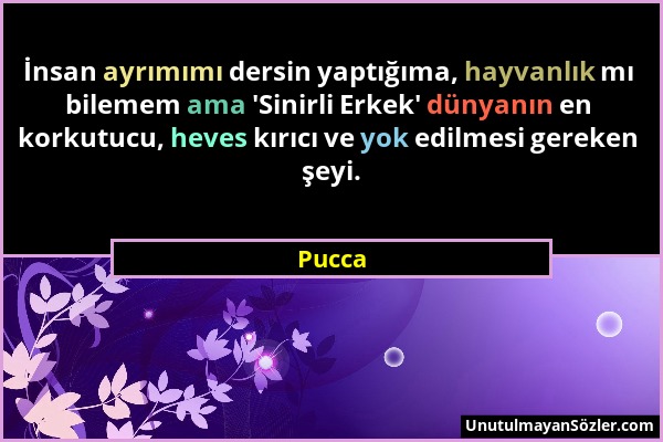 Pucca - İnsan ayrımımı dersin yaptığıma, hayvanlık mı bilemem ama 'Sinirli Erkek' dünyanın en korkutucu, heves kırıcı ve yok edilmesi gereken şeyi....