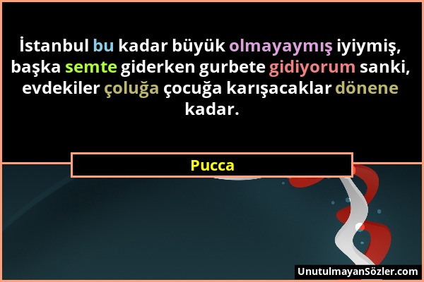 Pucca - İstanbul bu kadar büyük olmayaymış iyiymiş, başka semte giderken gurbete gidiyorum sanki, evdekiler çoluğa çocuğa karışacaklar dönene kadar....