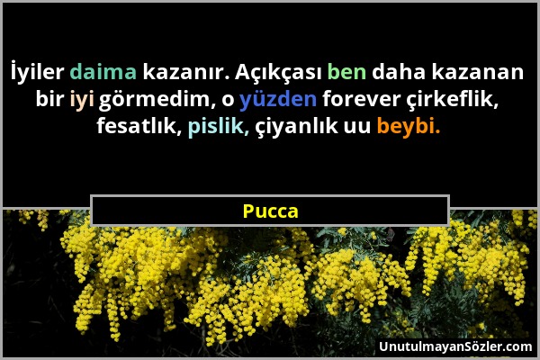 Pucca - İyiler daima kazanır. Açıkçası ben daha kazanan bir iyi görmedim, o yüzden forever çirkeflik, fesatlık, pislik, çiyanlık uu beybi....