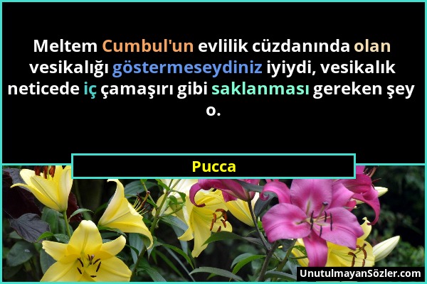 Pucca - Meltem Cumbul'un evlilik cüzdanında olan vesikalığı göstermeseydiniz iyiydi, vesikalık neticede iç çamaşırı gibi saklanması gereken şey o....