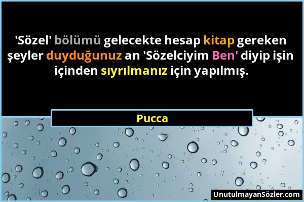 Pucca - 'Sözel' bölümü gelecekte hesap kitap gereken şeyler duyduğunuz an 'Sözelciyim Ben' diyip işin içinden sıyrılmanız için yapılmış....