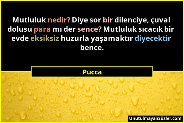 Pucca - Mutluluk nedir? Diye sor bir dilenciye, çuval dolusu para mı der sence? Mutluluk sıcacık bir evde eksiksiz huzurla yaşamaktır diyecektir bence...