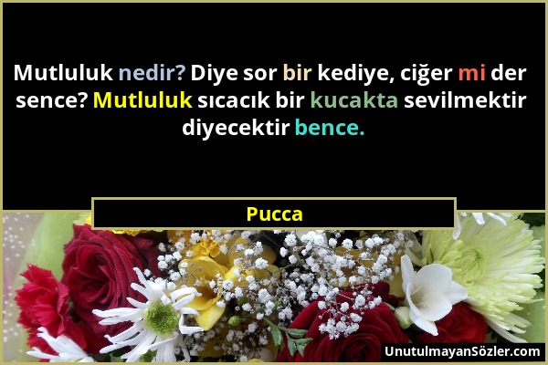 Pucca - Mutluluk nedir? Diye sor bir kediye, ciğer mi der sence? Mutluluk sıcacık bir kucakta sevilmektir diyecektir bence....