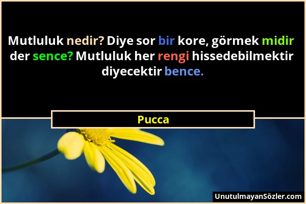 Pucca - Mutluluk nedir? Diye sor bir kore, görmek midir der sence? Mutluluk her rengi hissedebilmektir diyecektir bence....