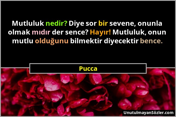 Pucca - Mutluluk nedir? Diye sor bir sevene, onunla olmak mıdır der sence? Hayır! Mutluluk, onun mutlu olduğunu bilmektir diyecektir bence....