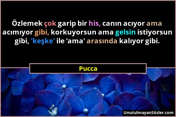 Pucca - Özlemek çok garip bir his, canın acıyor ama acımıyor gibi, korkuyorsun ama gelsin istiyorsun gibi, 'keşke' ile 'ama' arasında kalıyor gibi....