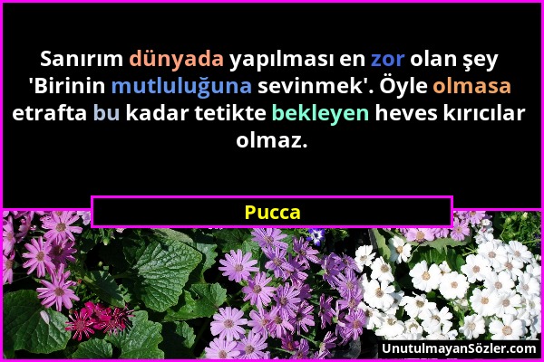 Pucca - Sanırım dünyada yapılması en zor olan şey 'Birinin mutluluğuna sevinmek'. Öyle olmasa etrafta bu kadar tetikte bekleyen heves kırıcılar olmaz....