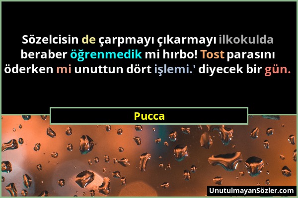 Pucca - Sözelcisin de çarpmayı çıkarmayı ilkokulda beraber öğrenmedik mi hırbo! Tost parasını öderken mi unuttun dört işlemi.' diyecek bir gün....