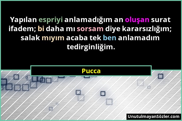 Pucca - Yapılan espriyi anlamadığım an oluşan surat ifadem; bi daha mı sorsam diye kararsızlığım; salak mıyım acaba tek ben anlamadım tedirginliğim....