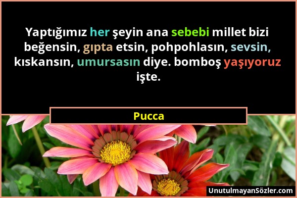 Pucca - Yaptığımız her şeyin ana sebebi millet bizi beğensin, gıpta etsin, pohpohlasın, sevsin, kıskansın, umursasın diye. bomboş yaşıyoruz işte....