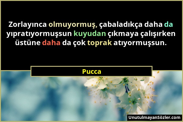 Pucca - Zorlayınca olmuyormuş, çabaladıkça daha da yıpratıyormuşsun kuyudan çıkmaya çalışırken üstüne daha da çok toprak atıyormuşsun....