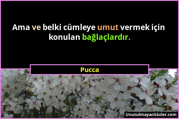 Pucca - Ama ve belki cümleye umut vermek için konulan bağlaçlardır....