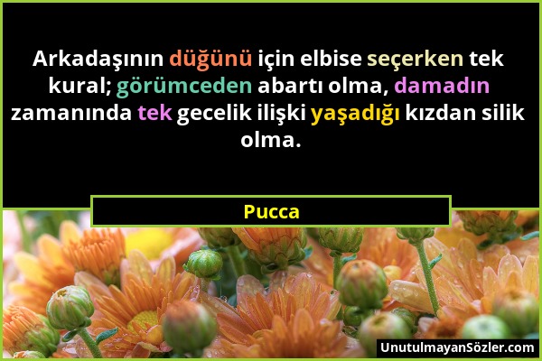 Pucca - Arkadaşının düğünü için elbise seçerken tek kural; görümceden abartı olma, damadın zamanında tek gecelik ilişki yaşadığı kızdan silik olma....