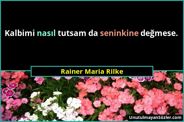 Rainer Maria Rilke - Kalbimi nasıl tutsam da seninkine değmese....