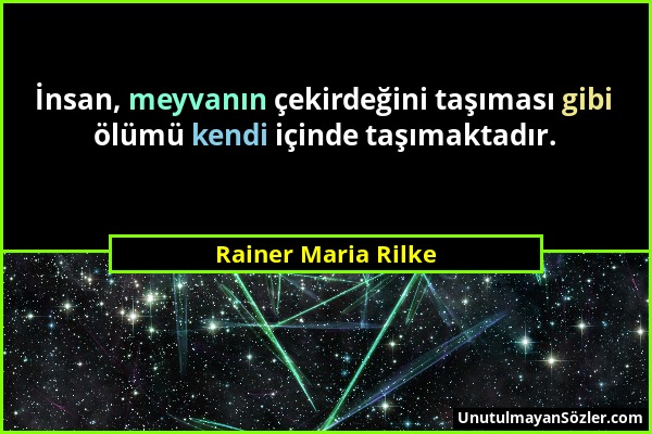 Rainer Maria Rilke - İnsan, meyvanın çekirdeğini taşıması gibi ölümü kendi içinde taşımaktadır....