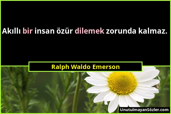 Ralph Waldo Emerson - Akıllı bir insan özür dilemek zorunda kalmaz....
