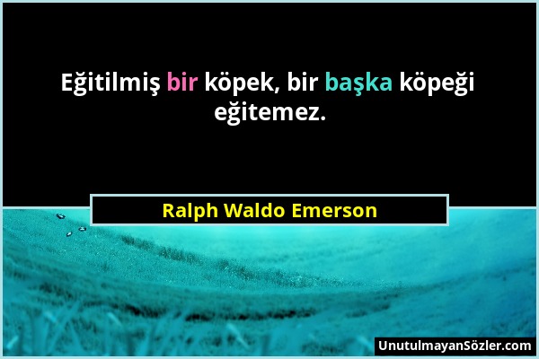 Ralph Waldo Emerson - Eğitilmiş bir köpek, bir başka köpeği eğitemez....