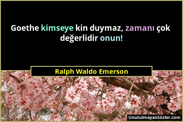 Ralph Waldo Emerson - Goethe kimseye kin duymaz, zamanı çok değerlidir onun!...