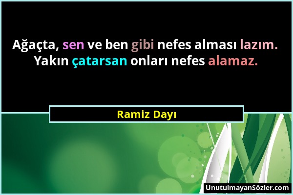 Ramiz Dayı - Ağaçta, sen ve ben gibi nefes alması lazım. Yakın çatarsan onları nefes alamaz....