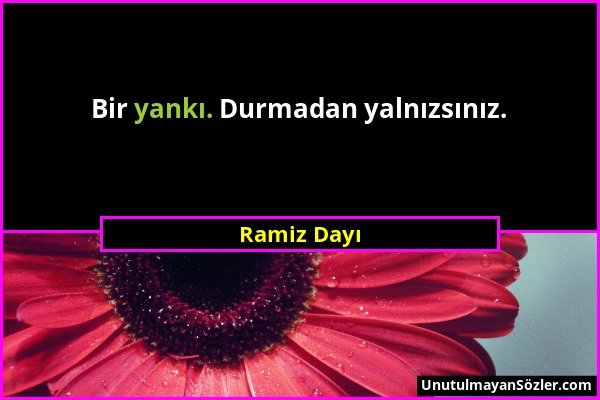 Ramiz Dayı - Bir yankı. Durmadan yalnızsınız....