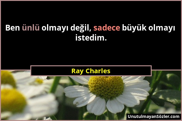 Ray Charles - Ben ünlü olmayı değil, sadece büyük olmayı istedim....