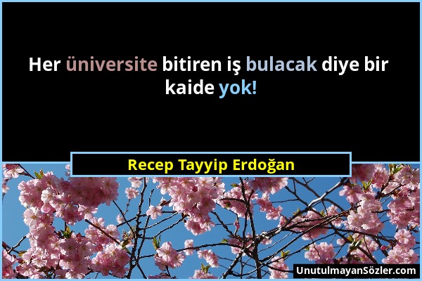 Recep Tayyip Erdoğan - Her üniversite bitiren iş bulacak diye bir kaide yok!...