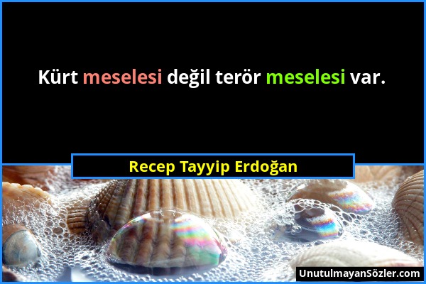 Recep Tayyip Erdoğan - Kürt meselesi değil terör meselesi var....