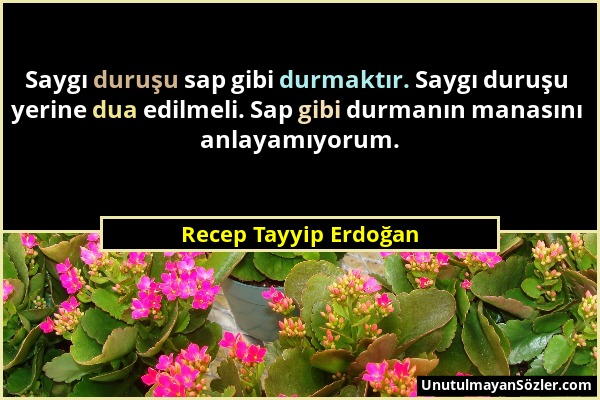 Recep Tayyip Erdoğan - Saygı duruşu sap gibi durmaktır. Saygı duruşu yerine dua edilmeli. Sap gibi durmanın manasını anlayamıyorum....