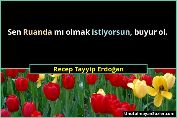 Recep Tayyip Erdoğan - Sen Ruanda mı olmak istiyorsun, buyur ol....