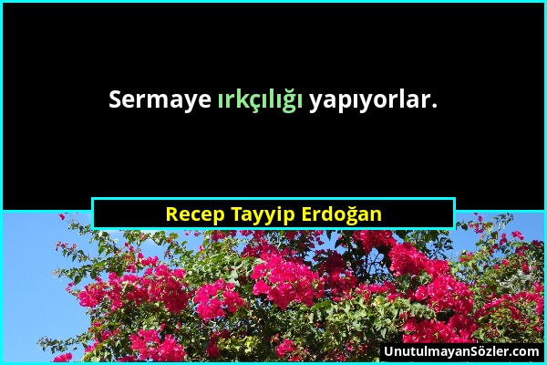 Recep Tayyip Erdoğan - Sermaye ırkçılığı yapıyorlar....