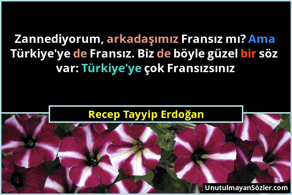 Recep Tayyip Erdoğan - Zannediyorum, arkadaşımız Fransız mı? Ama Türkiye'ye de Fransız. Biz de böyle güzel bir söz var: Türkiye'ye çok Fransızsınız...