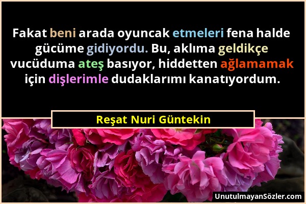 Reşat Nuri Güntekin - Fakat beni arada oyuncak etmeleri fena halde gücüme gidiyordu. Bu, aklıma geldikçe vucüduma ateş basıyor, hiddetten ağlamamak iç...