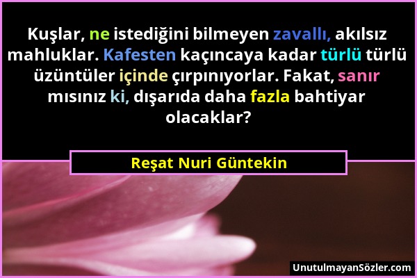 Reşat Nuri Güntekin - Kuşlar, ne istediğini bilmeyen zavallı, akılsız mahluklar. Kafesten kaçıncaya kadar türlü türlü üzüntüler içinde çırpınıyorlar....