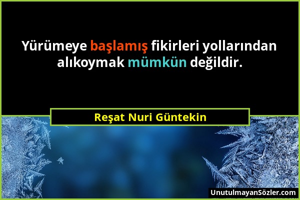 Reşat Nuri Güntekin - Yürümeye başlamış fikirleri yollarından alıkoymak mümkün değildir....