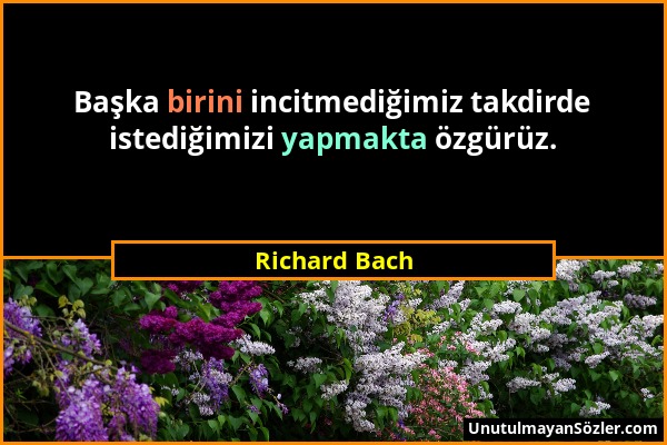 Richard Bach - Başka birini incitmediğimiz takdirde istediğimizi yapmakta özgürüz....