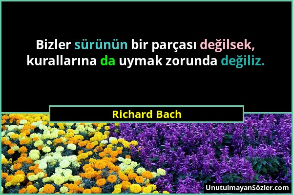 Richard Bach - Bizler sürünün bir parçası değilsek, kurallarına da uymak zorunda değiliz....
