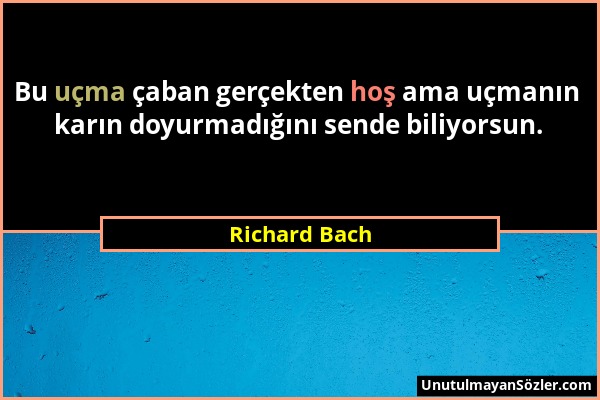 Richard Bach - Bu uçma çaban gerçekten hoş ama uçmanın karın doyurmadığını sende biliyorsun....