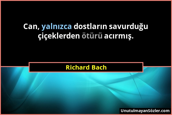 Richard Bach - Can, yalnızca dostların savurduğu çiçeklerden ötürü acırmış....