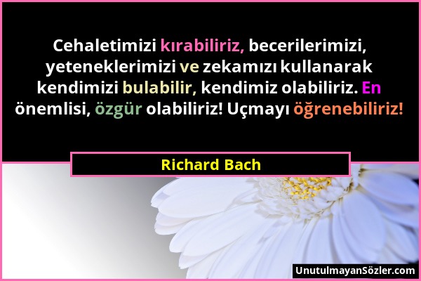 Richard Bach - Cehaletimizi kırabiliriz, becerilerimizi, yeteneklerimizi ve zekamızı kullanarak kendimizi bulabilir, kendimiz olabiliriz. En önemlisi,...
