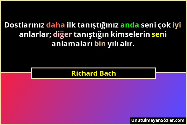 Richard Bach - Dostlarınız daha ilk tanıştığınız anda seni çok iyi anlarlar; diğer tanıştığın kimselerin seni anlamaları bin yılı alır....